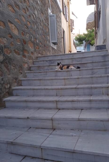 Villa Syros Stone Yard House Ermoupoli Exterior foto